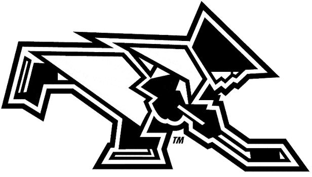 Providence Friars 2000-Pres Misc Logo iron on transfers for T-shirts